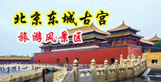 美女出水直放b照中国北京-东城古宫旅游风景区